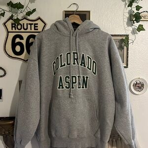 colorado aspen brandy melville hoodie
